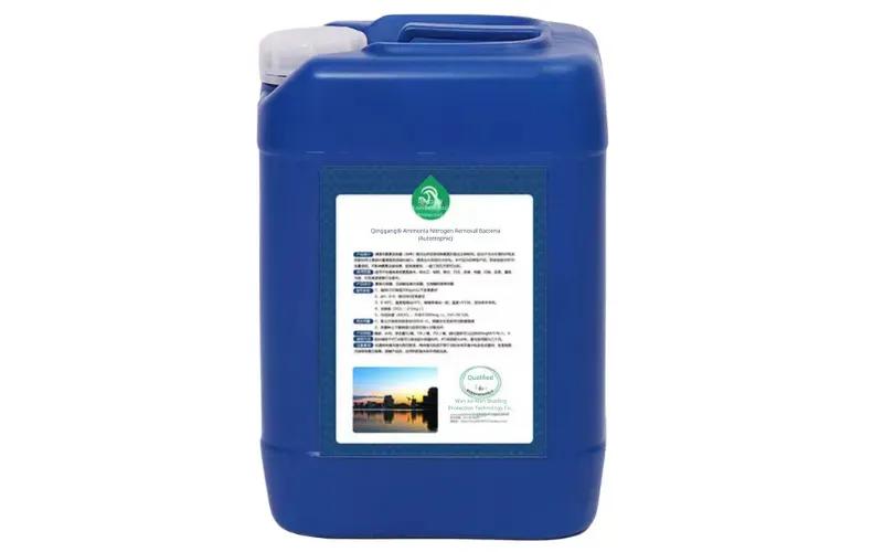 Ammonia Nitrogen Removal Bacteria (Autotrophic)