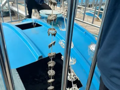 Ammonia Nitrogen Removal Bacteria (Autotrophic)