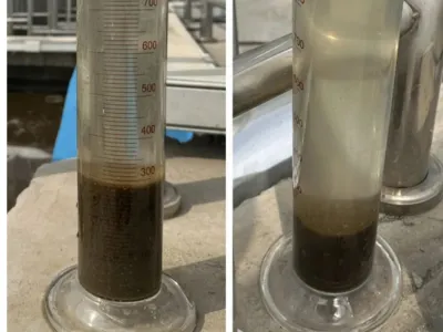 Ammonia Nitrogen Removal Bacteria (Autotrophic)