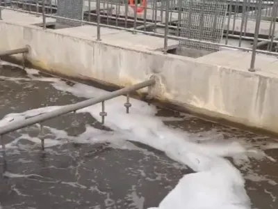 Ammonia Nitrogen Removal Bacteria (Autotrophic)