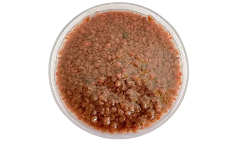 Anaerobic Bio-Stimulant