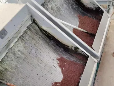 Bacteria Activation Nutrient