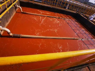 Bacteria Activation Nutrient