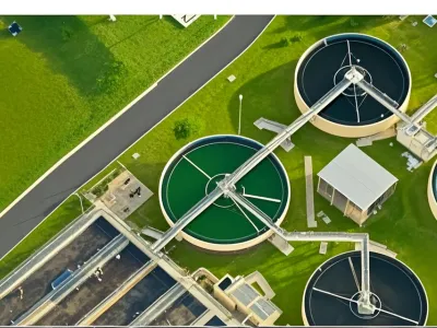 Bio-Deodorizing Bacteria