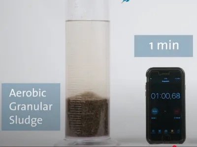 Bio-Deodorizing Bacteria
