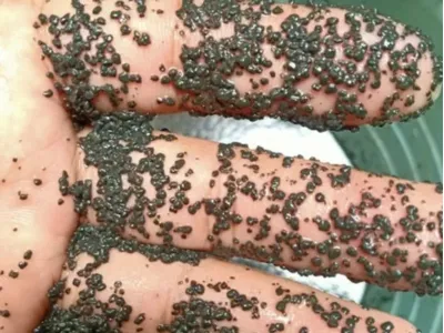 Bio-Deodorizing Bacteria