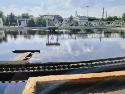 Bio-Detoxification Bacteria