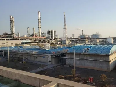 COD Removal Bacteria (Aerobic)