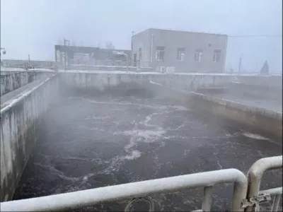 COD Removal Bacteria (Aerobic)