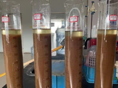 COD Removal Bacteria (Anaerobic)