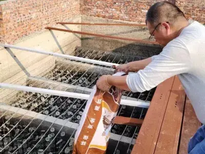 Detoxification Case Study