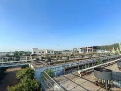 High Ammonia Nitrogen Livestock Wastewater Treatment Solution