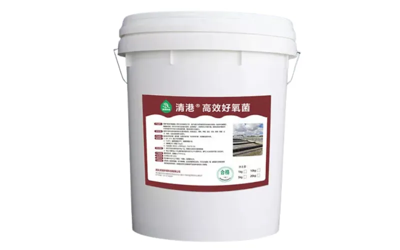 High-Efficiency Aerobic Bacteria