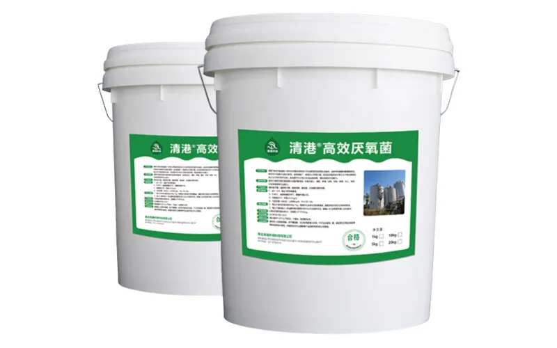 High-Efficiency Anaerobic Bacteria