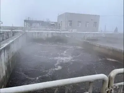 Odor Elimination Case Study