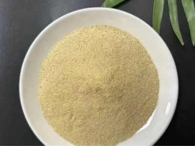 Oil Removal Bacteria