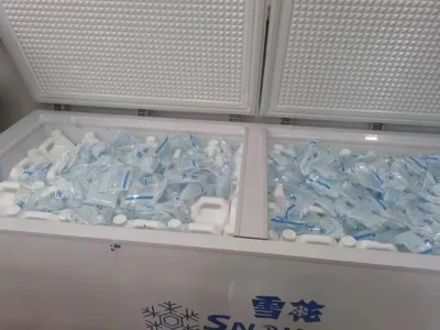 Salt-Tolerant Ammonia Nitrogen Removal Bacteria