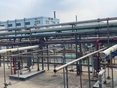 Salt-Tolerant Ammonia Nitrogen Removal Bacteria