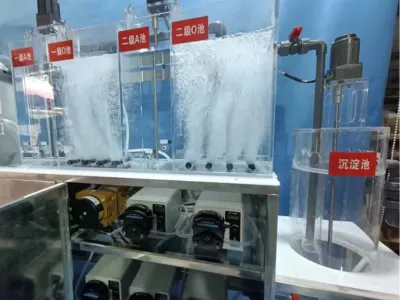 Salt-Tolerant Ammonia Nitrogen Removal Bacteria